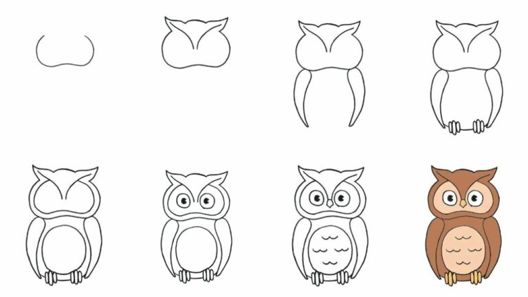 How to Draw an Owl Step by Step - Hand Of Art