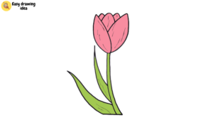 How to Draw a Tulip Step by Step for Kids - Hand Of Art