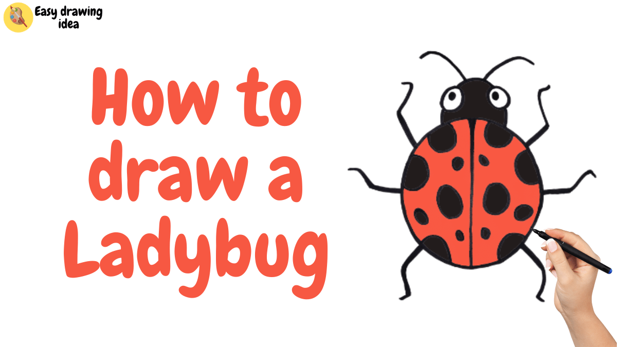 how to draw a ladybug