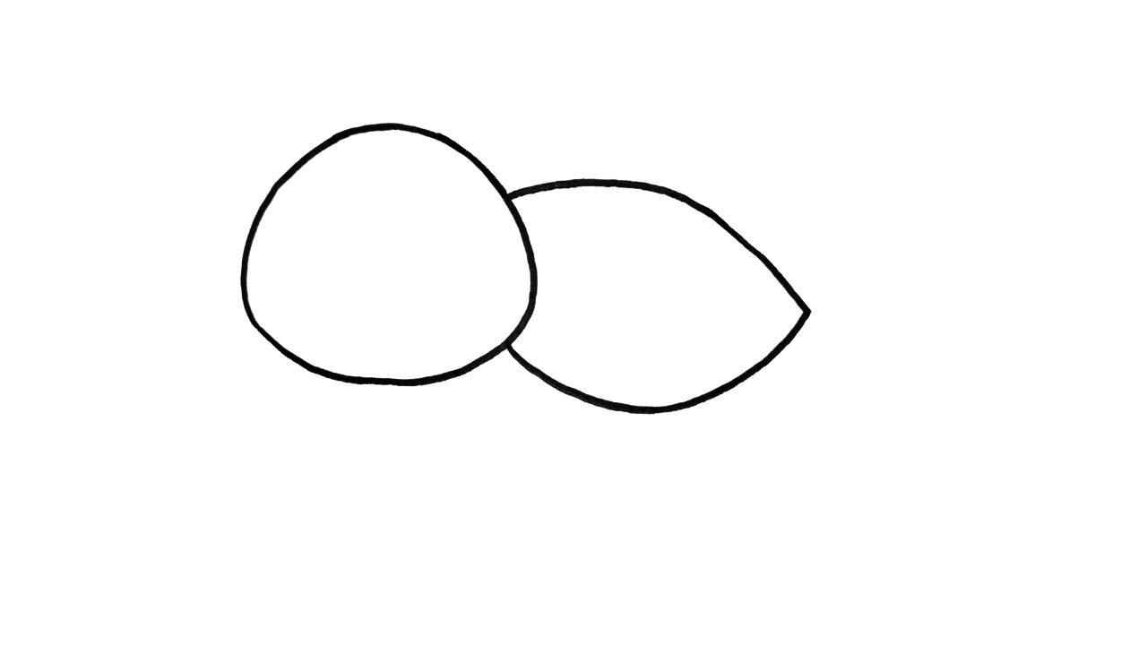 How To Draw A Turtle Step By Step