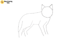 How To Draw A Wolf Step By Step