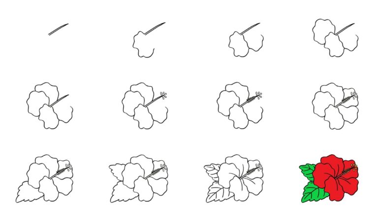 How to Draw a Hibiscus Flower Step By Step Guide - Hand Of Art