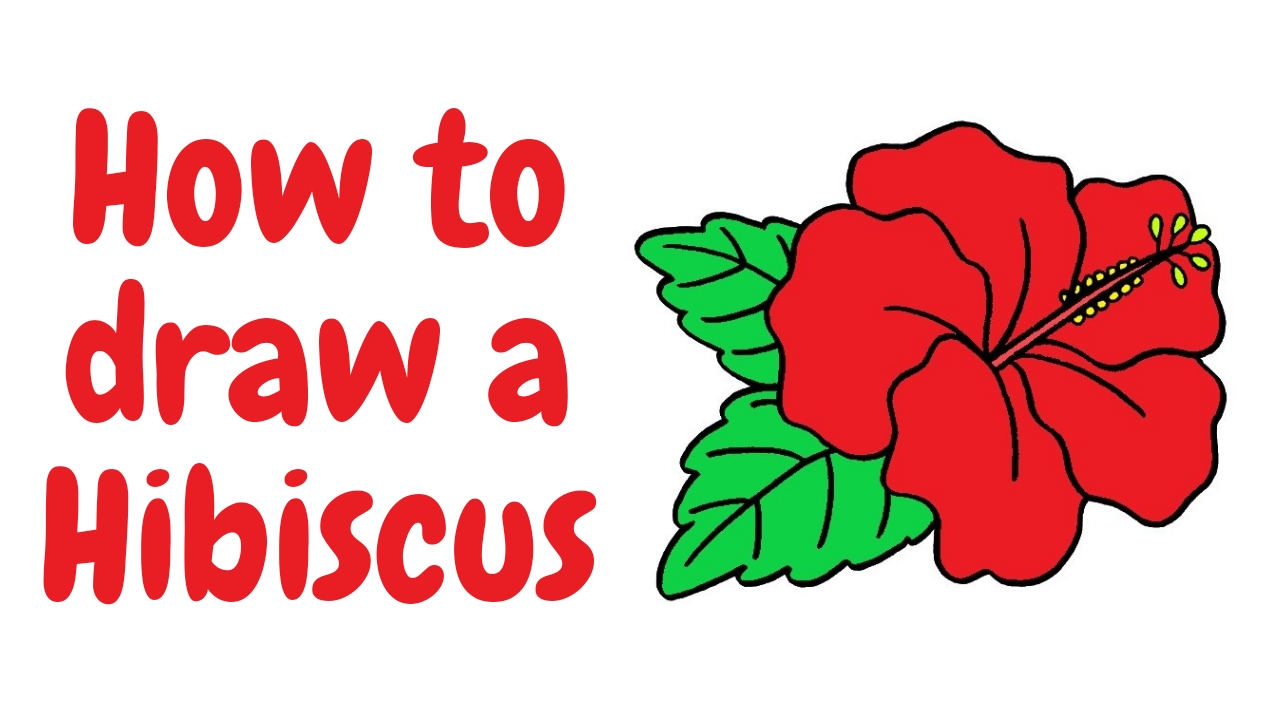how to draw a hibiscus