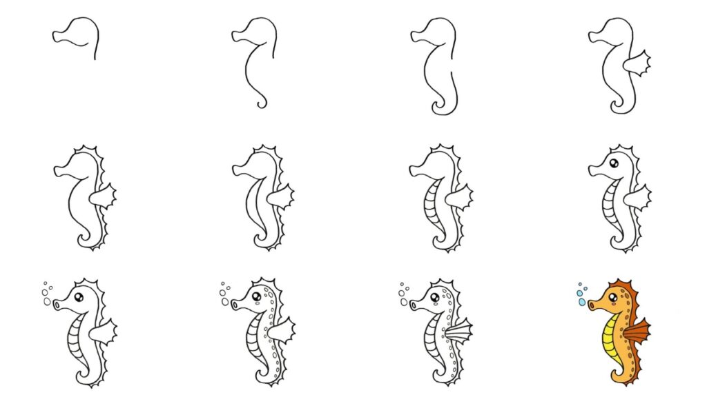 how to draw a seahorse step by step
