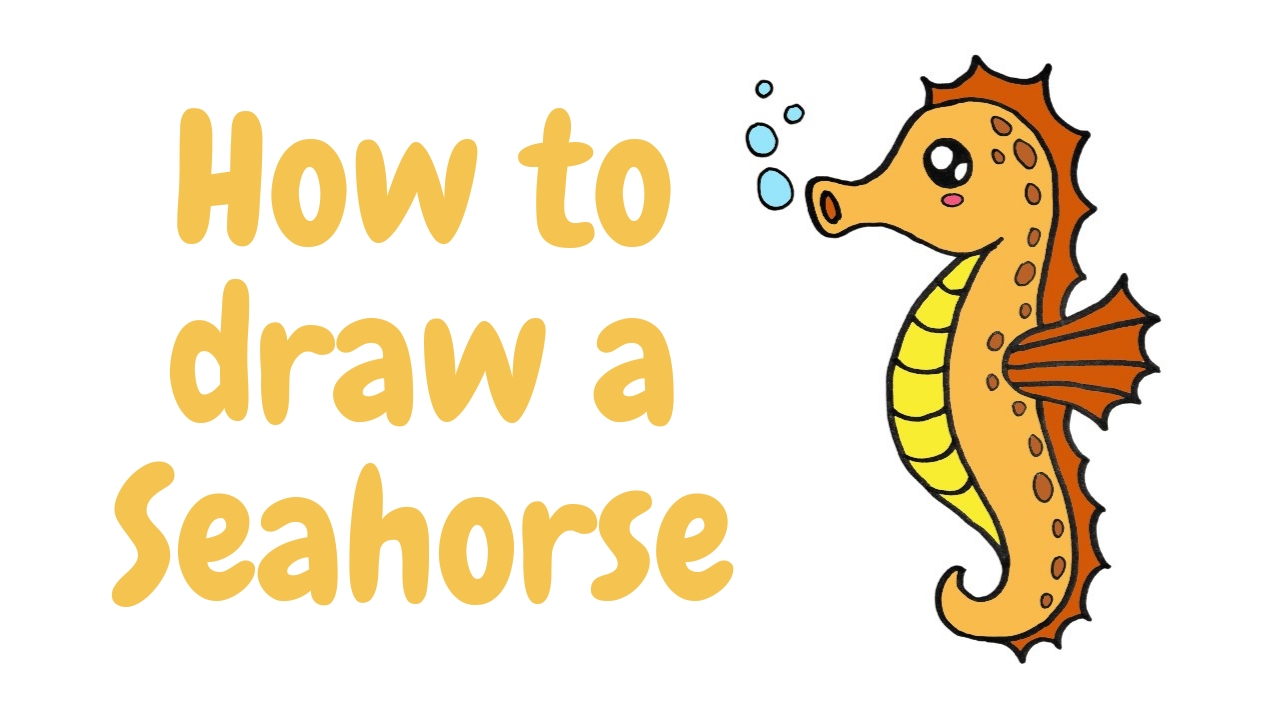 how to draw a seahorse