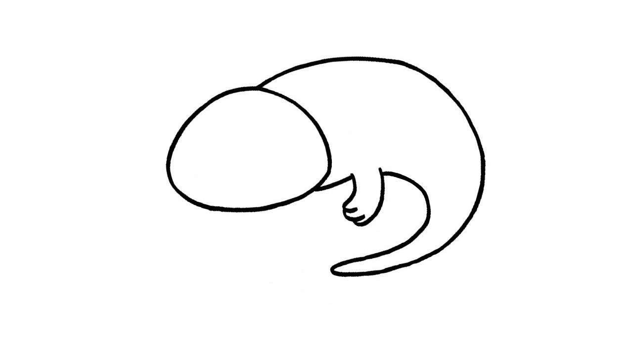 How to Draw an Axolotl Step by Step - Hand Of Art