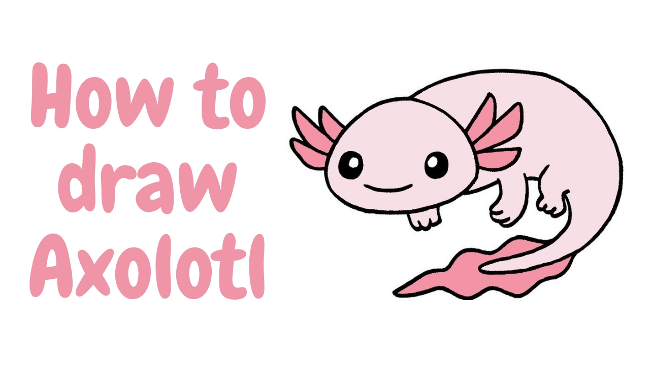 how to draw axolotl
