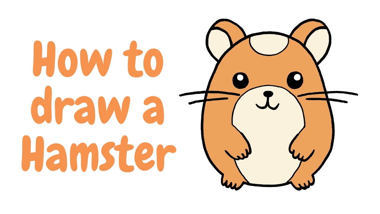 how to draw a hamster