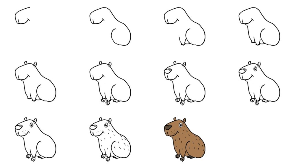 draw capybara step by step