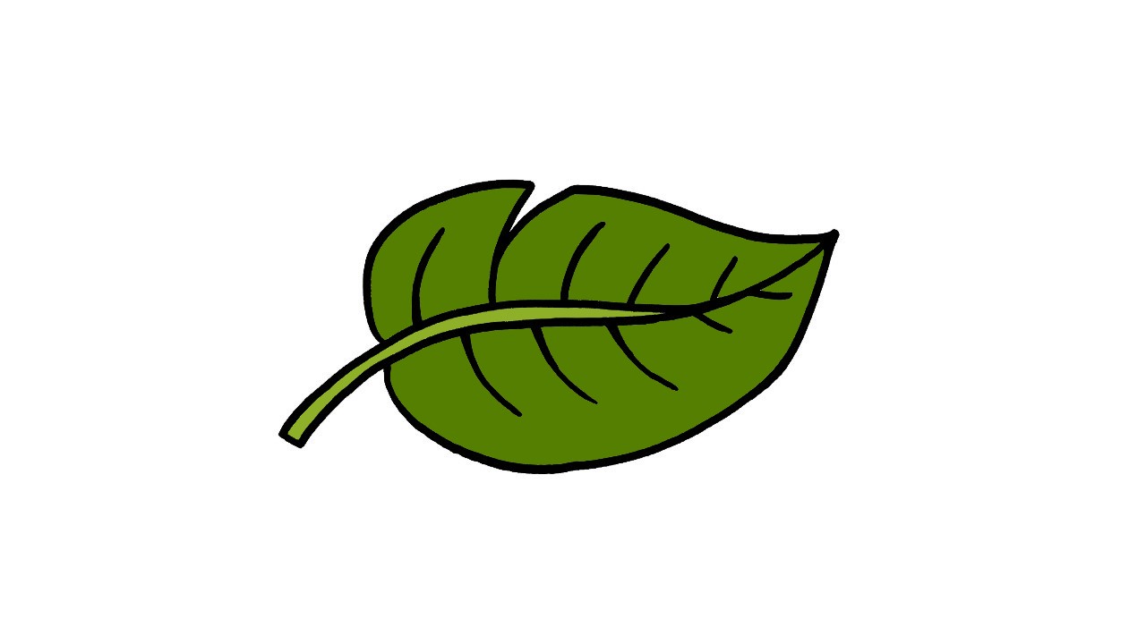 How to Draw a Leaf Step By Step - Hand Of Art